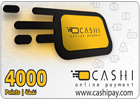 بطاقة كاشى 4000 نقطة - $100